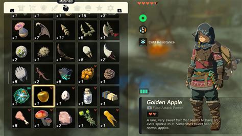 Zelda: Tears of the Kingdom Golden Apple Recipe List